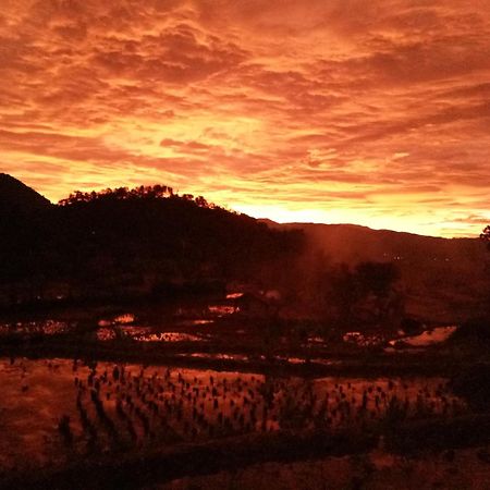 De Salak Homestay Bogor Kültér fotó
