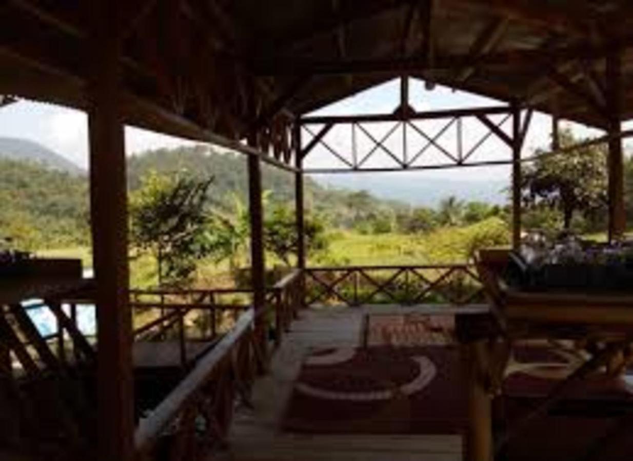 De Salak Homestay Bogor Kültér fotó