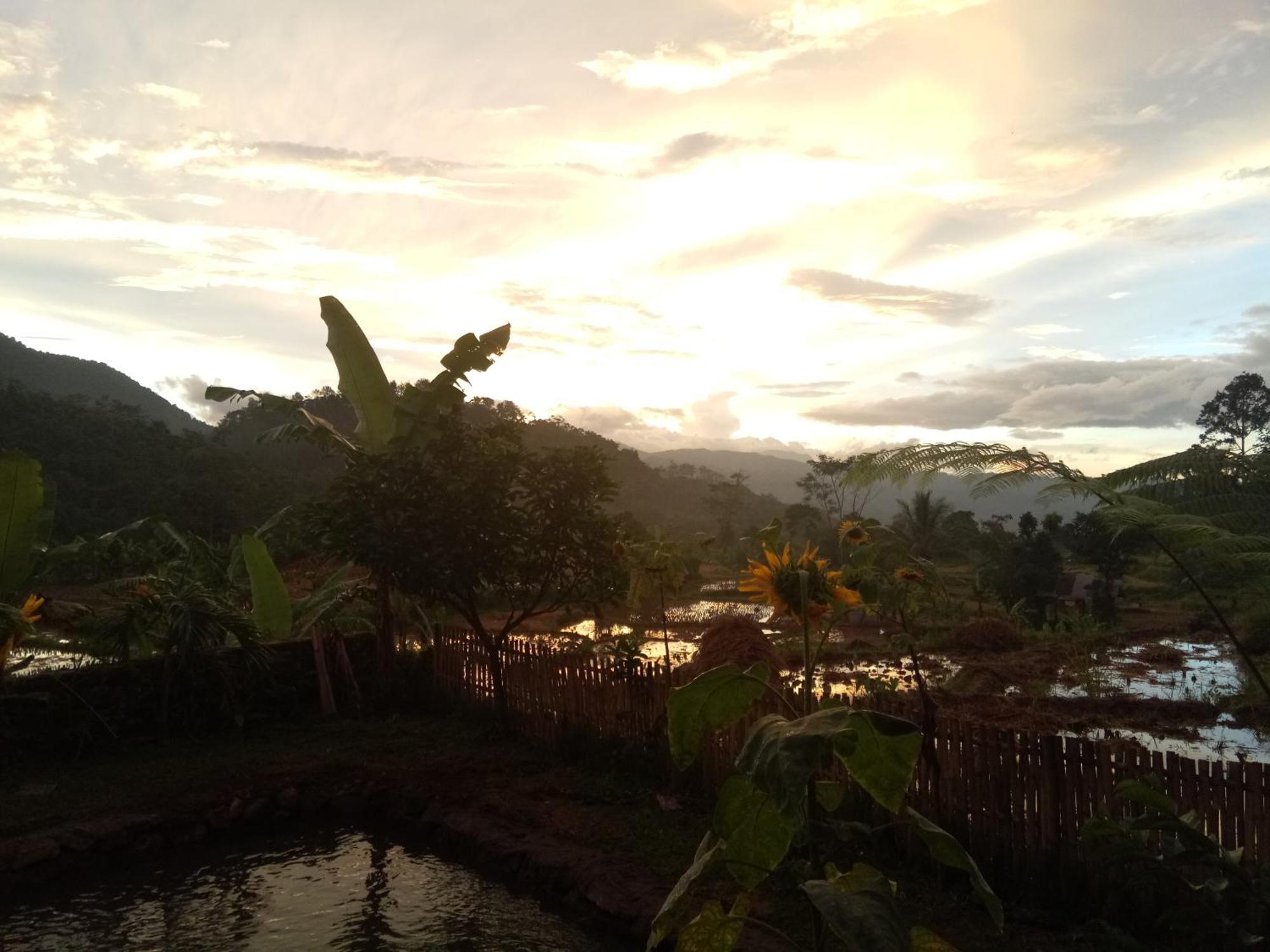 De Salak Homestay Bogor Kültér fotó