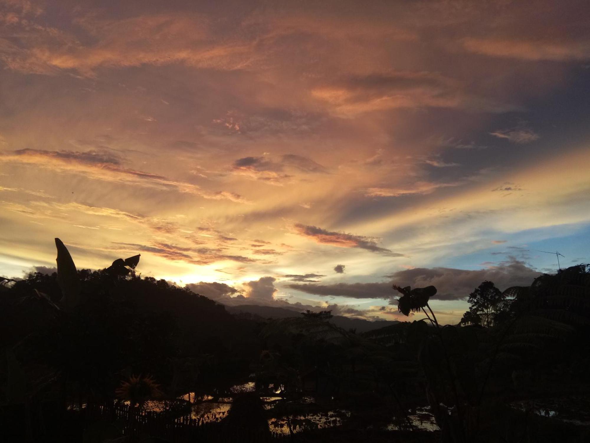 De Salak Homestay Bogor Kültér fotó