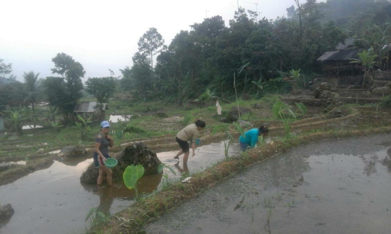 De Salak Homestay Bogor Kültér fotó