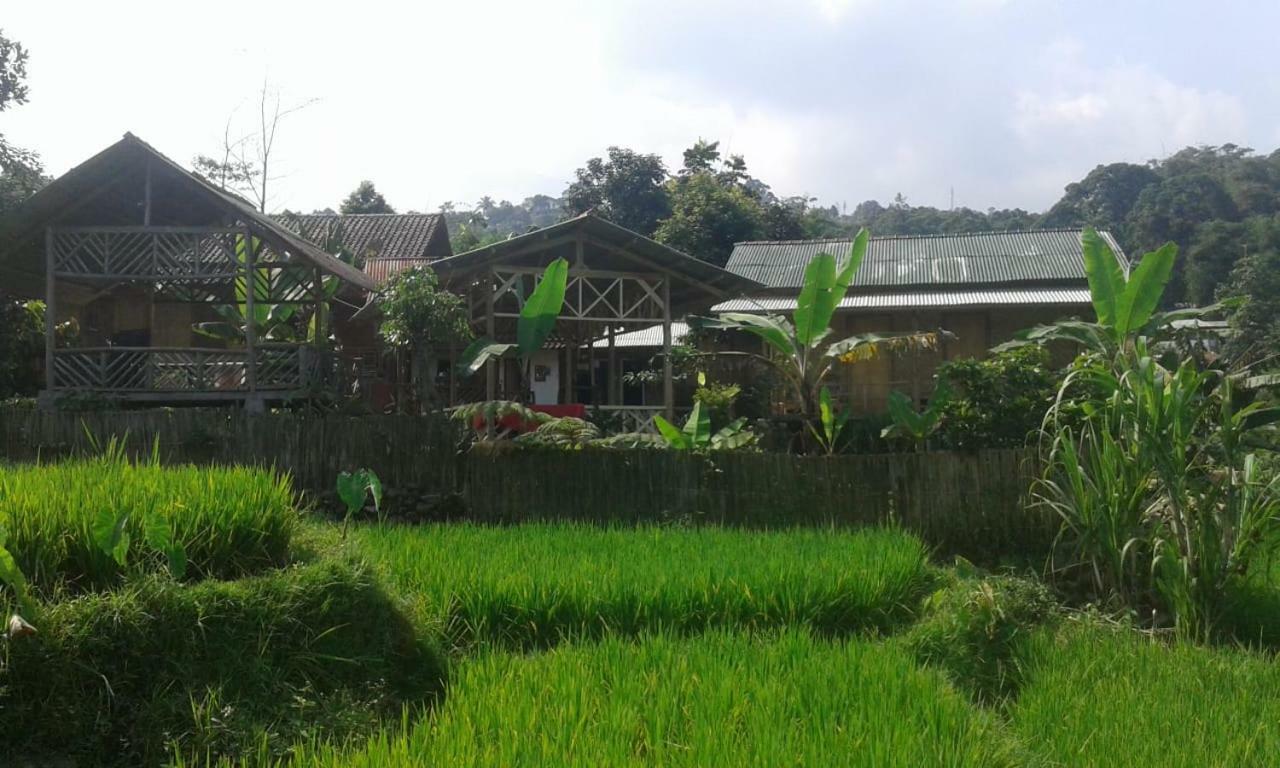 De Salak Homestay Bogor Kültér fotó