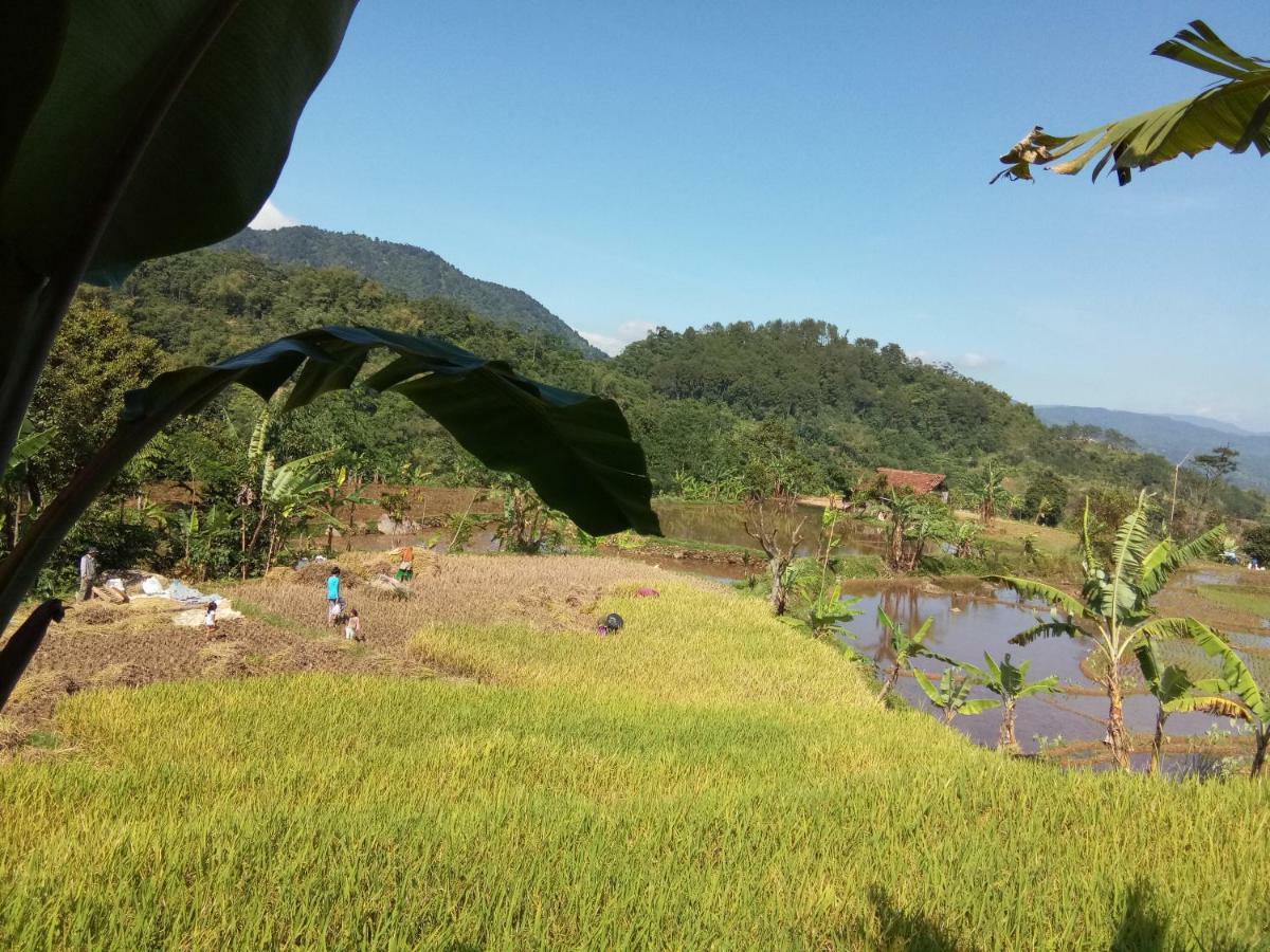 De Salak Homestay Bogor Kültér fotó