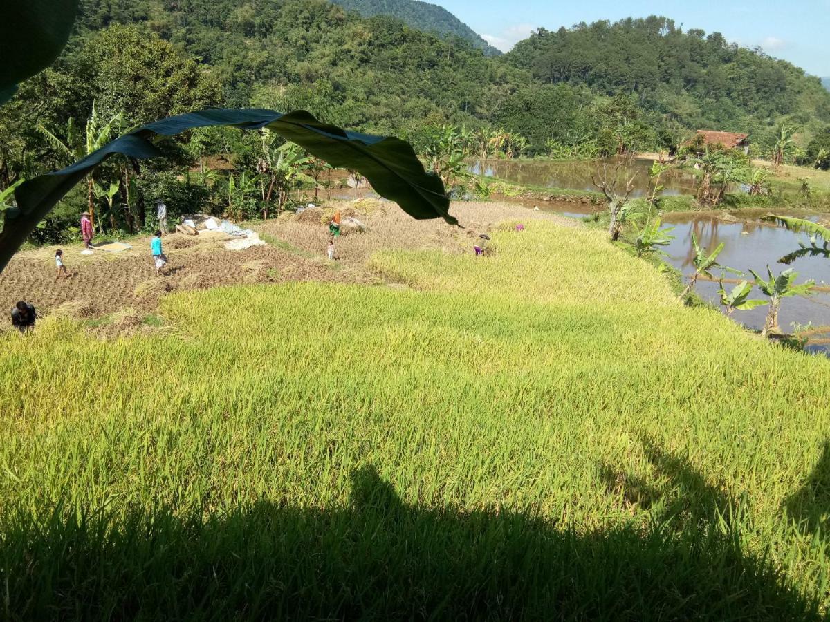 De Salak Homestay Bogor Kültér fotó