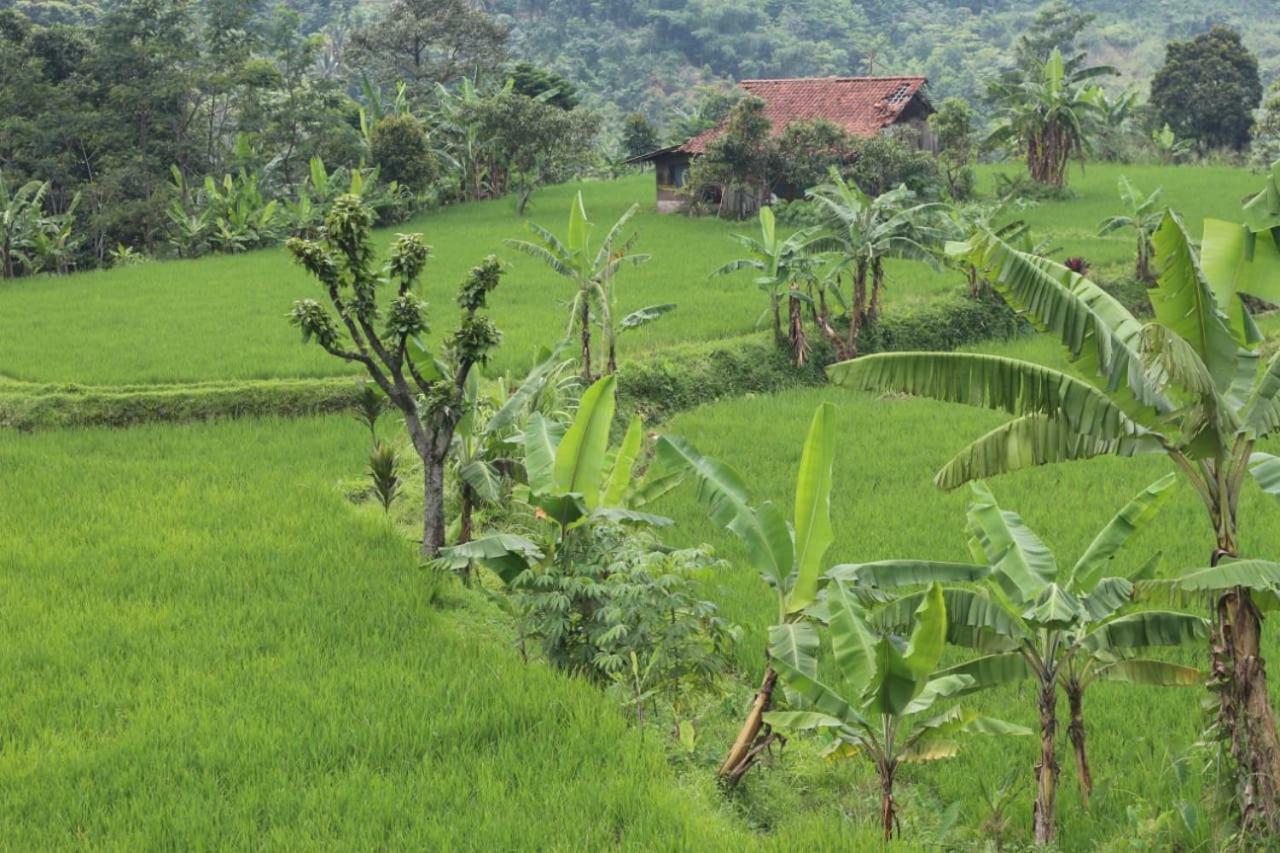 De Salak Homestay Bogor Kültér fotó